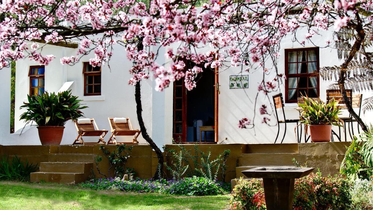 Fraai Uitzicht 1798 Hotell Robertson Exteriör bild